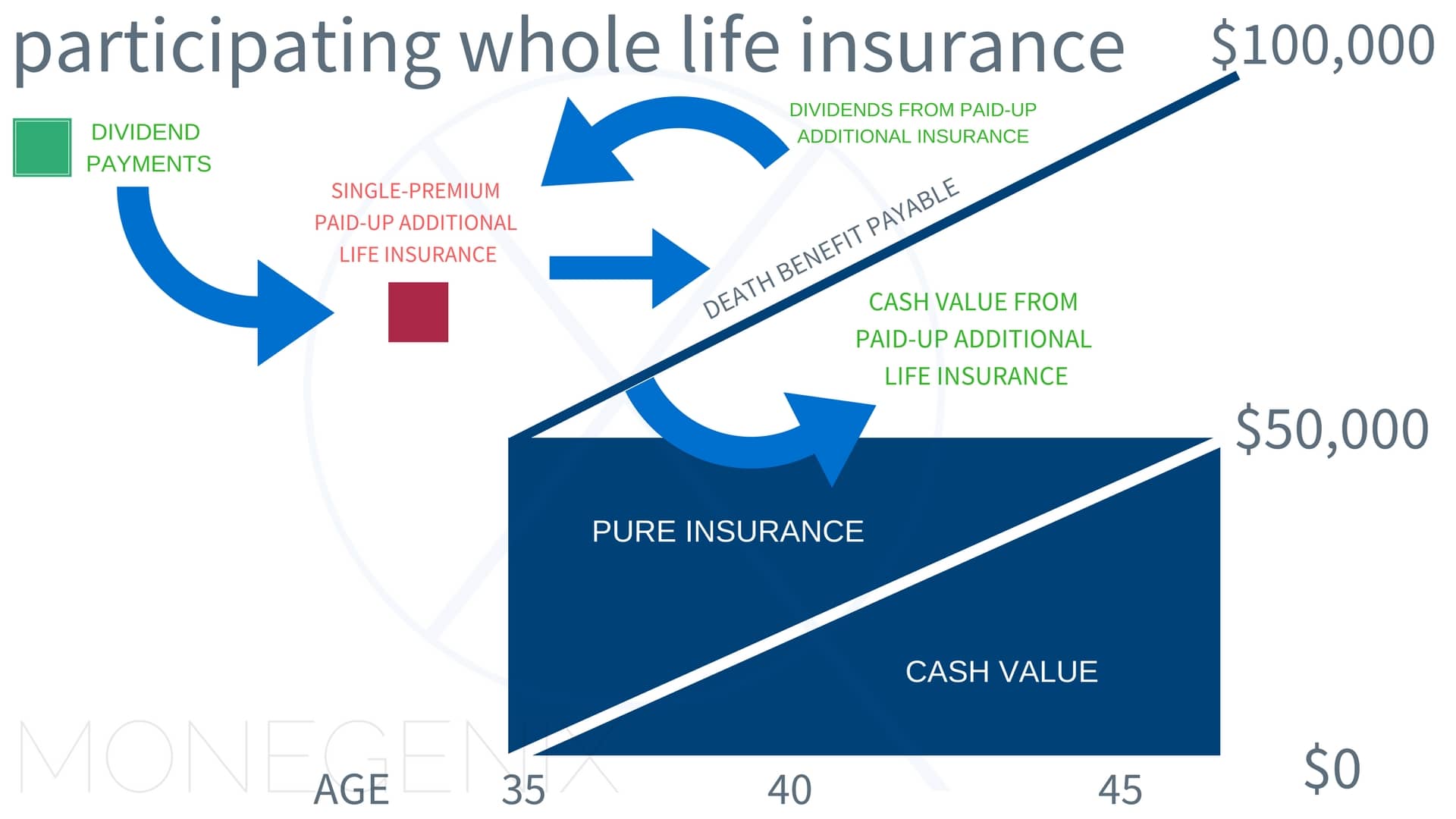 Whole life insurance dividend payments graphic Whole life insurance dividend payments graphic