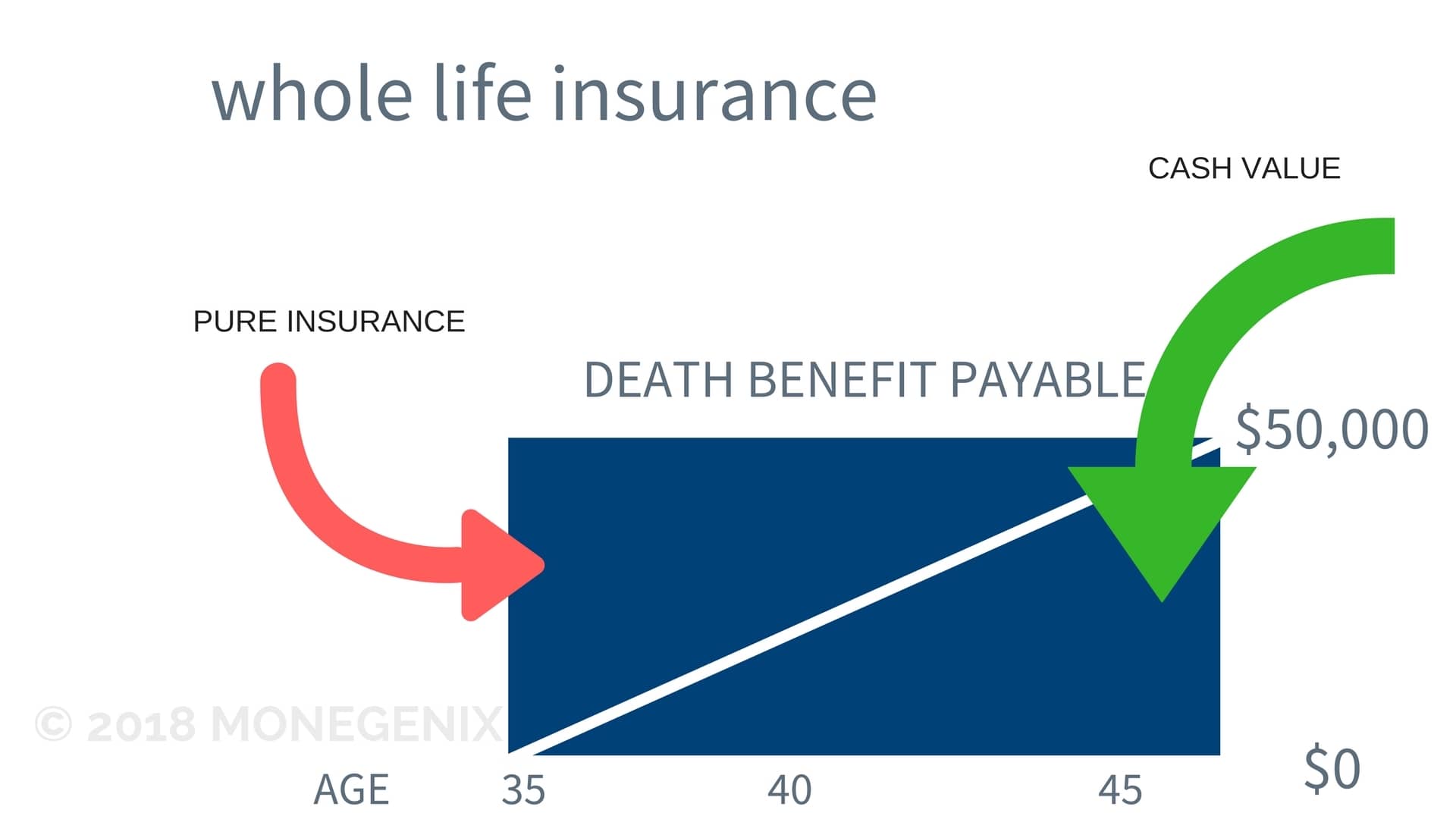 Whole Life Insurance Whole Life Insurance graphic