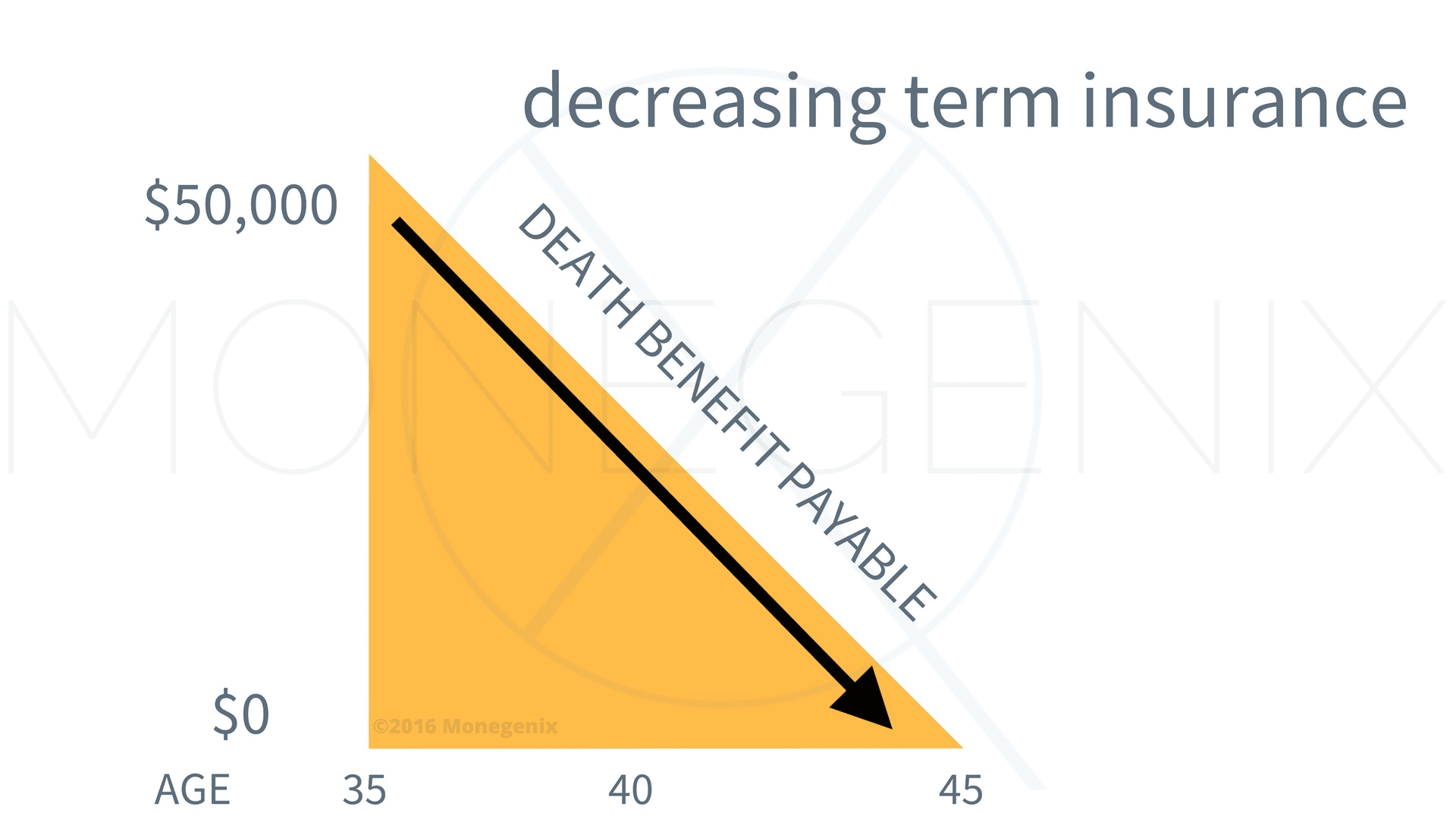 Decreasing Term Life Insurance Decreasing Term Life Insurance